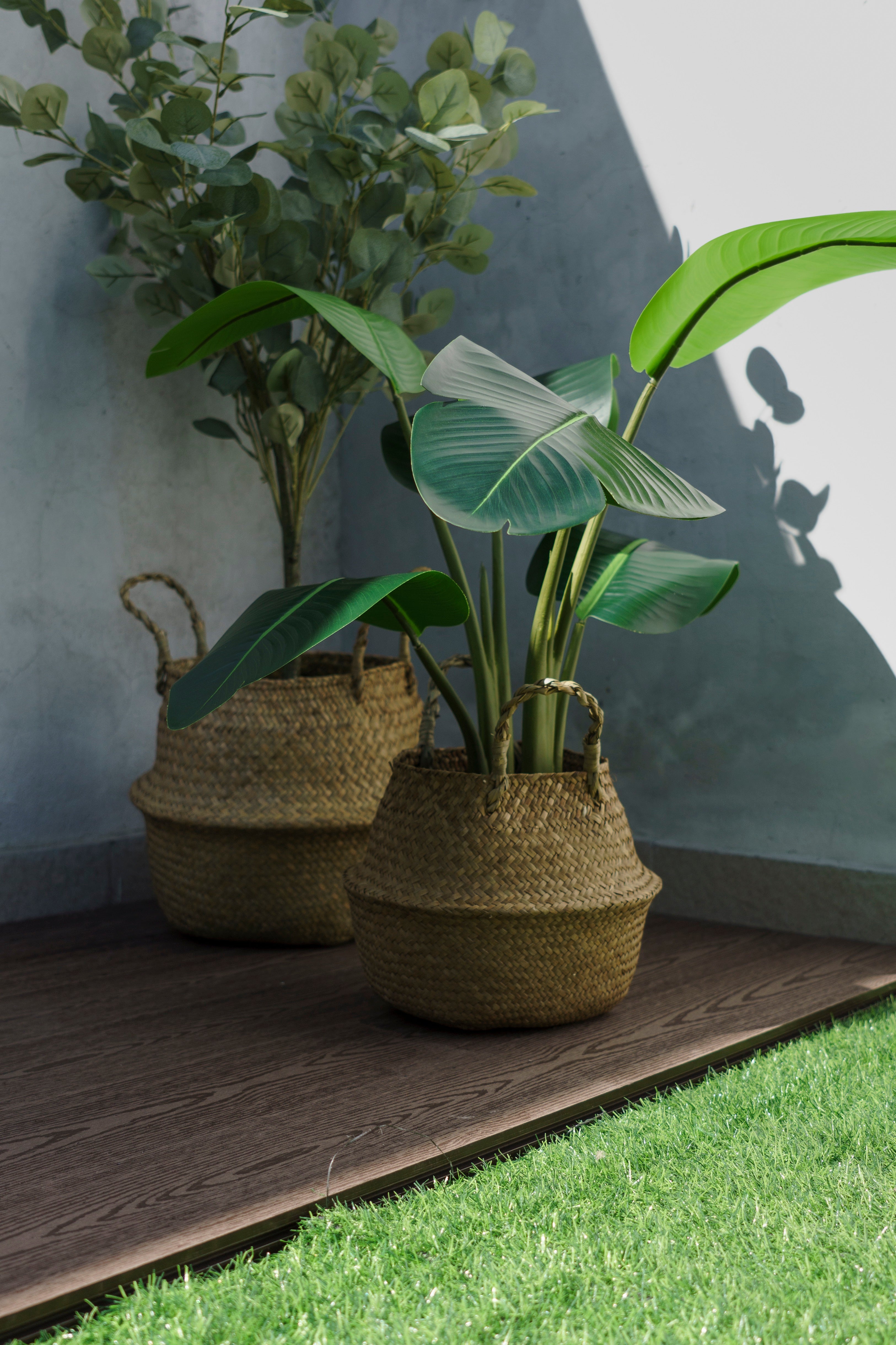 Planta Artificial Ave del Paraíso 80 cm – Strelitzia Decorativa ideal para Casa y Oficina - 3