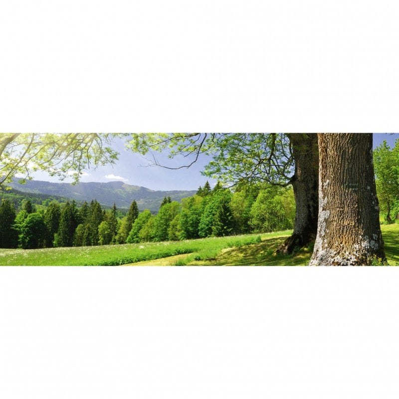 Tableau toile XXL en kit Oree Du Bois 180 x 60 cm - Toile textile sans PCV - Tableau grand format fabriqué en France par Scenolia - 2