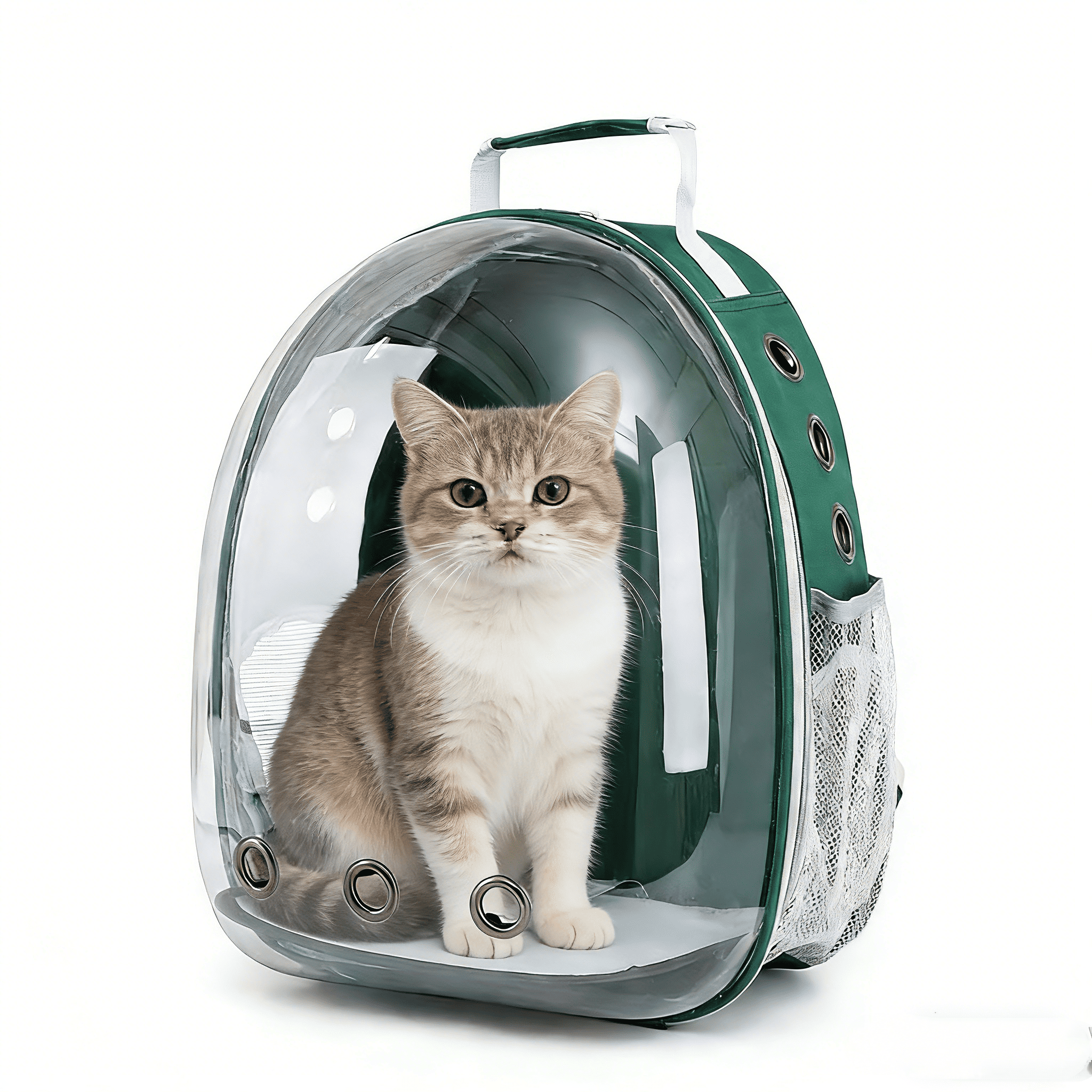 Sac à Dos De Transport Transparent Pour Chats Et Petits Chiens (vert