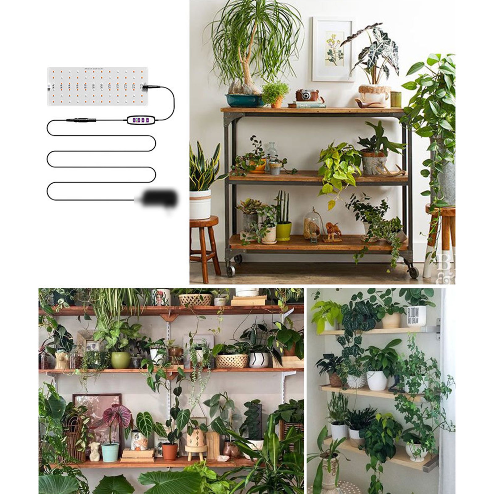 Iluminação LED planta luz de cultivo interior Quantum Board planta luz ...