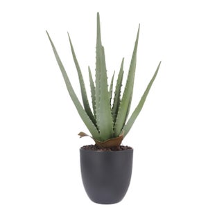 aloe vera saft ernten Reiner Bio Aloe Vera Saft main image 1
