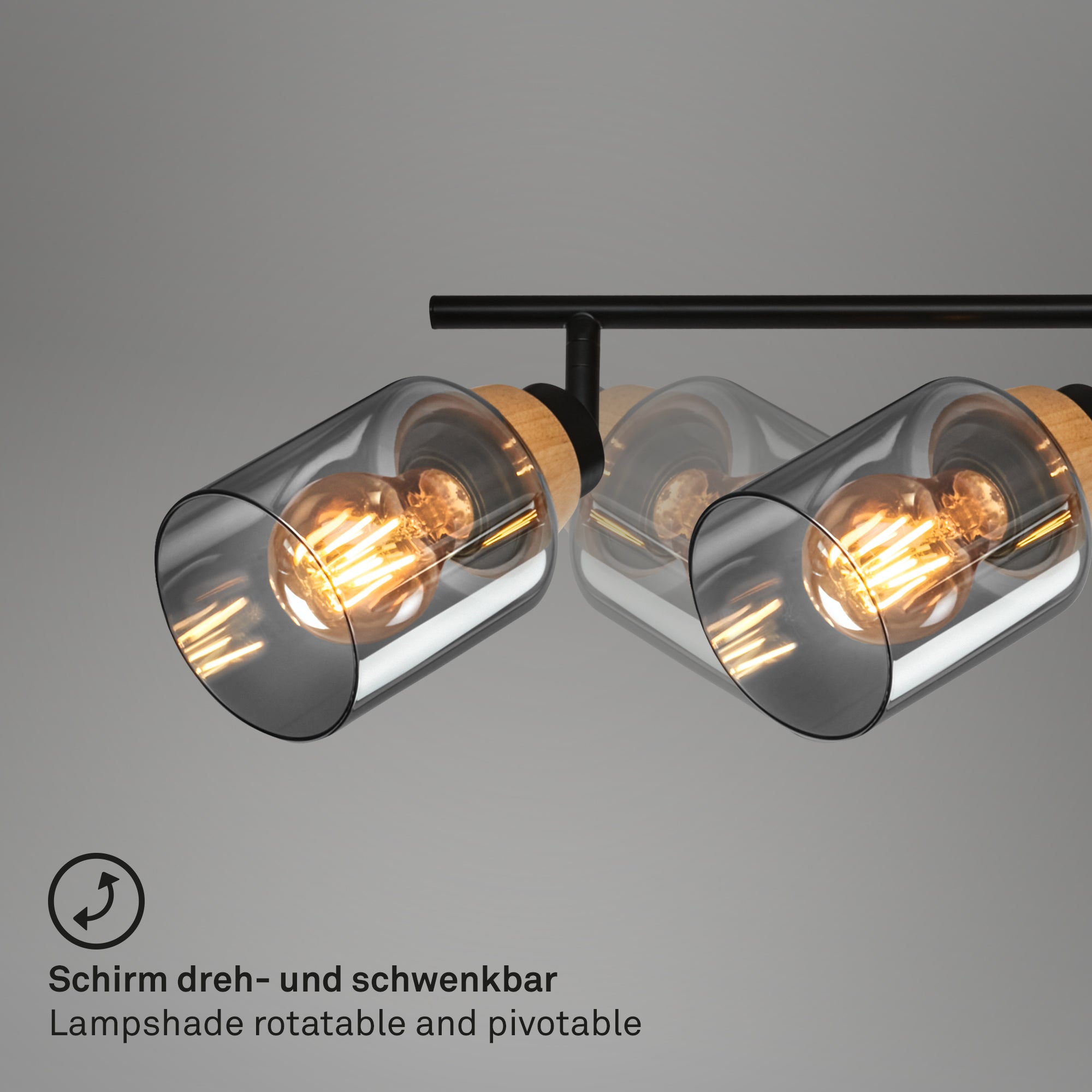 BRILONER - Faretto - HEMA - Orientabile, Attacco E27, Vetro fumè, Sorgente luminosa non inclusa - 4