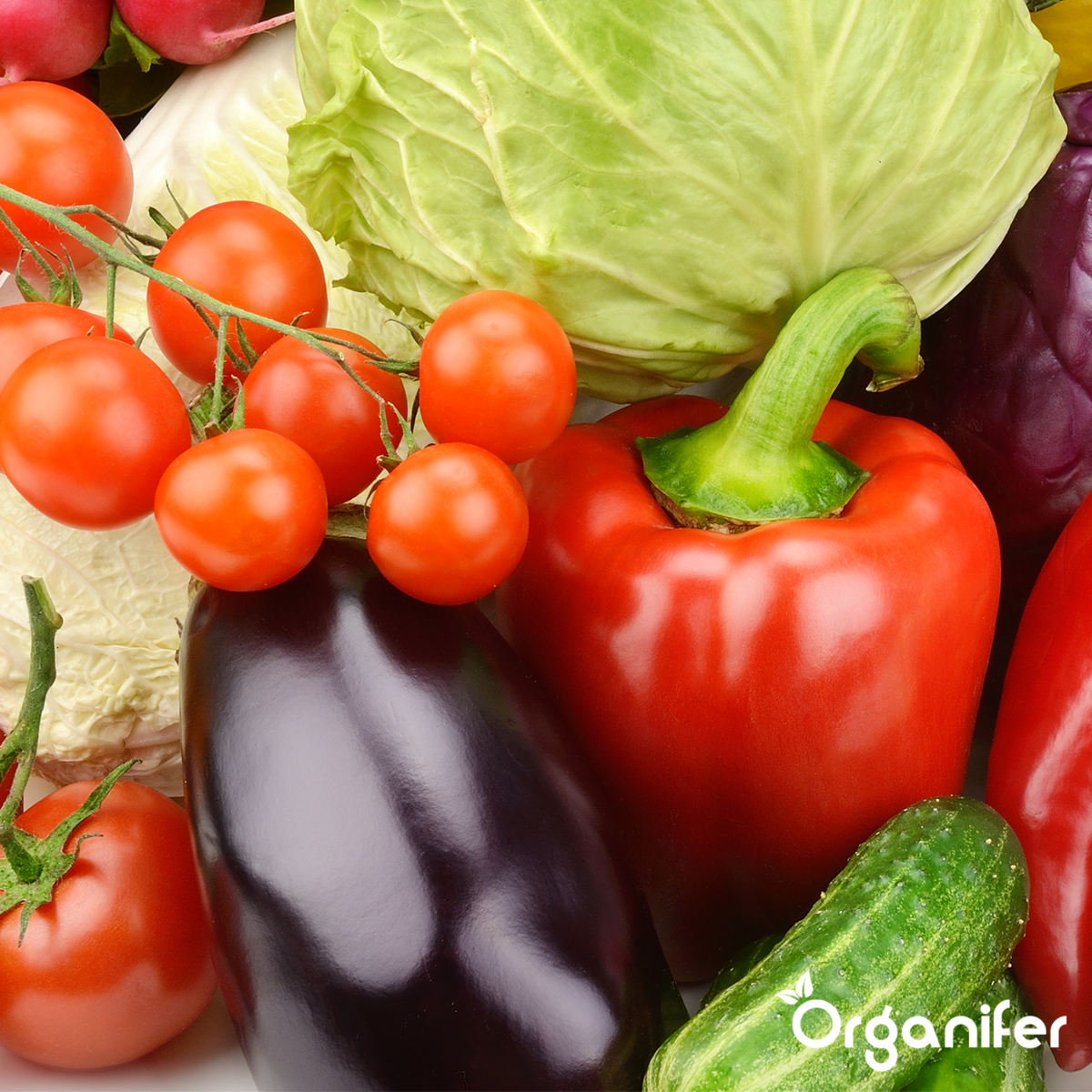Pack De Semences De Légumes - 25 Variétés Culinaires - Organifer - 7