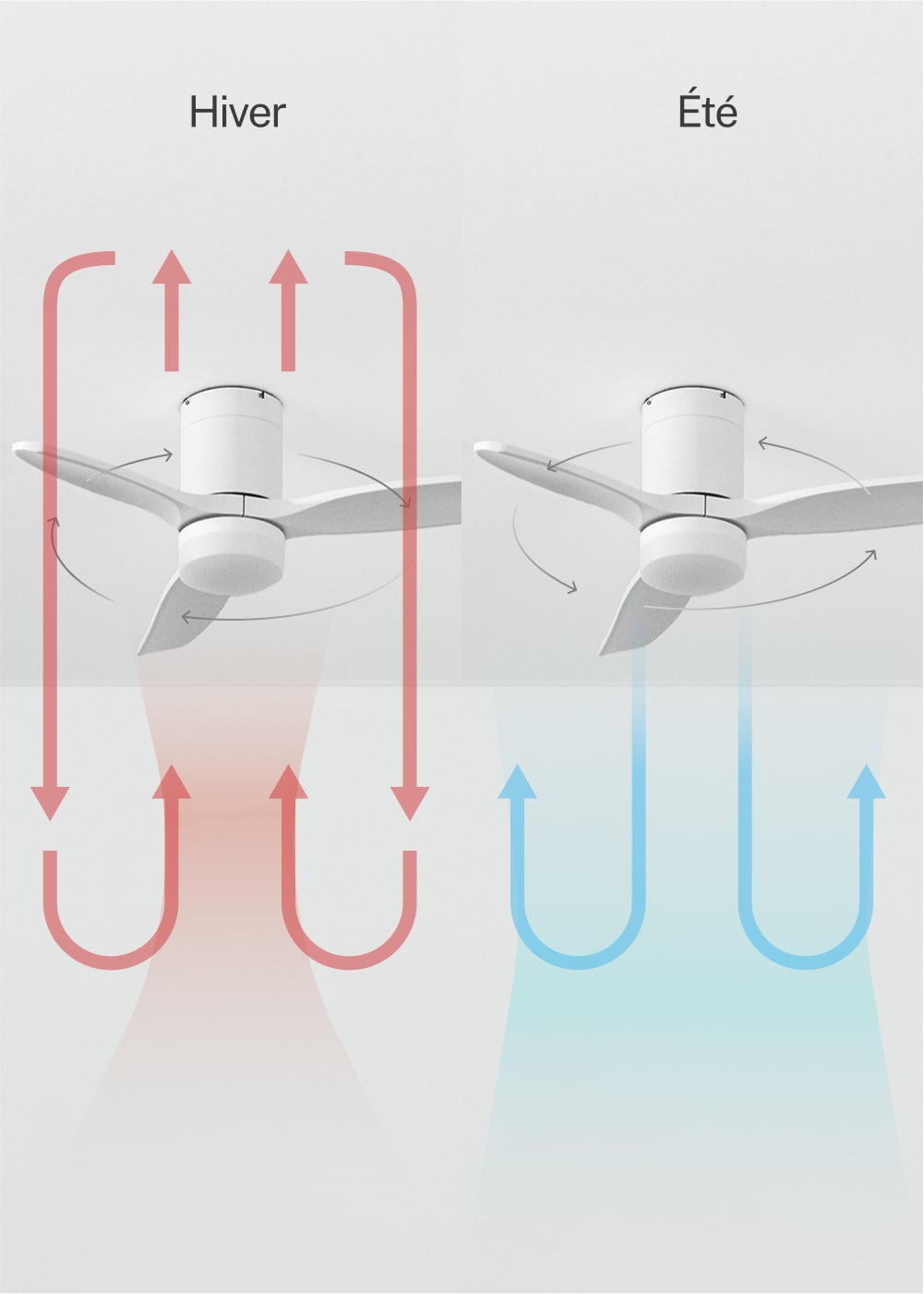 CREATE - WIND CALM S - Ventilateur de plafond silencieux 40W avec pales techniques en ABS Ø112 avec eclaraige sans wifi - 5