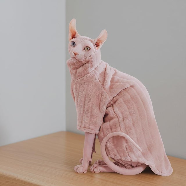 Casaco com capuz Sphinx com riscas de pelúcia, tamanho L, da Winter Cat Apparel -