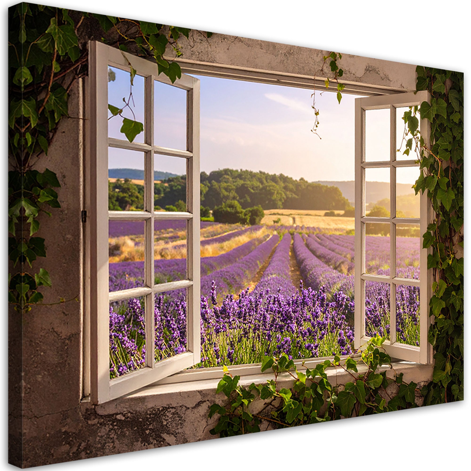 Obraz do salonu sypialni kuchni biura loftu, Widok z okna Pole Lawendy Shabby Chic 60x40
