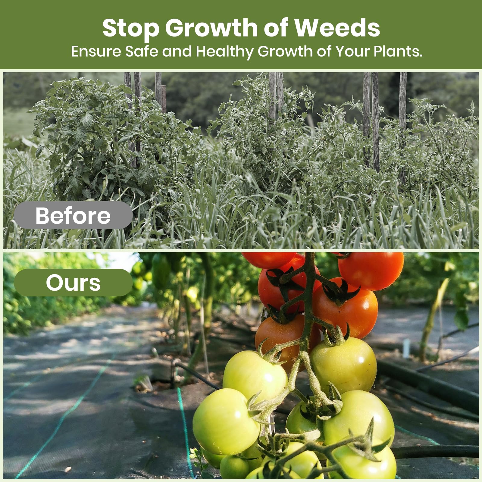 Toile de Paillage Contre les Mauvaises Herbes 10Mx2M, Contre les Mauvaises Herbes, Perméable à l'Eau, Anti-UV, Anti Repousse, Bâche de Paillage - 8