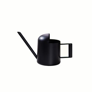 Annaffiatoio In Acciaio Inox 1,2L Con Beccuccio Lungo E Manico In Legno - Nero - Ideale Per Piante Da Interno