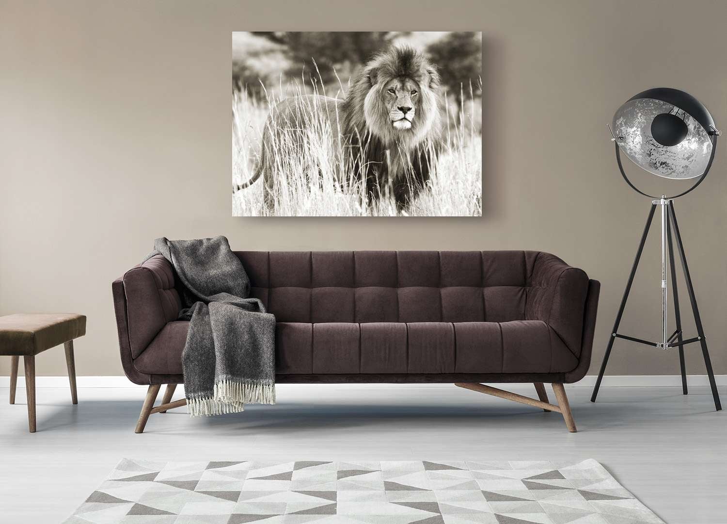 Impression sur toile - Lion dans la savane - 120x90 cm - 2
