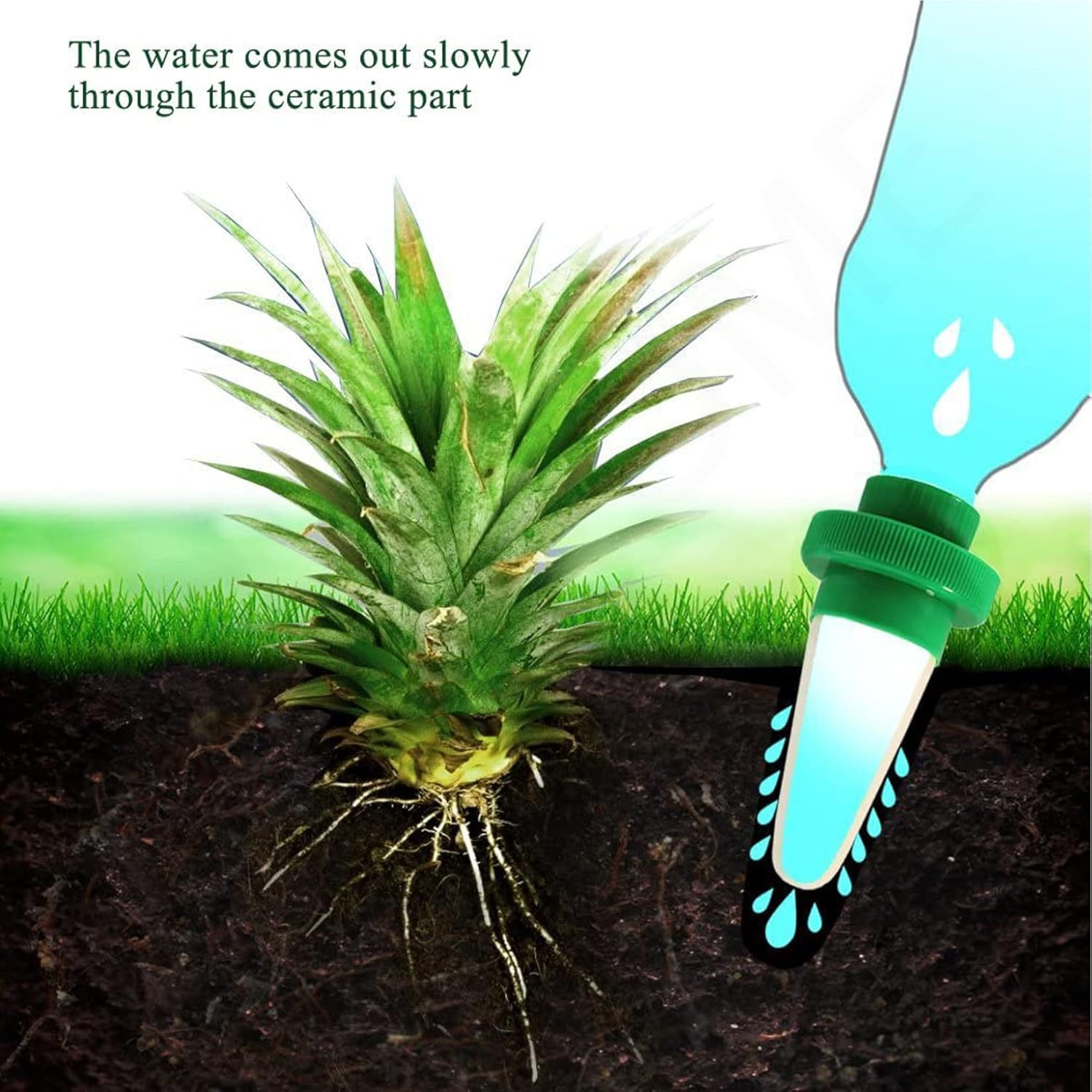 Lot de 10 bouteilles d'irrigation goutte à goutte pour dispositif d'arrosage automatique de jardin - 7