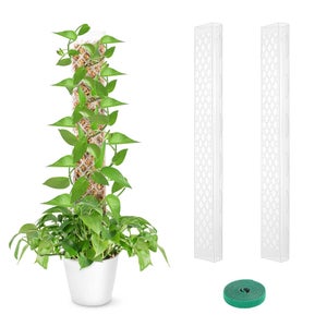 Yeekg Rete a traliccio per piante rampicanti, 2 set di rete per piante da giardino, per cetriolo, pomodoro, vite, frutta, verdura, 15 x 40 m