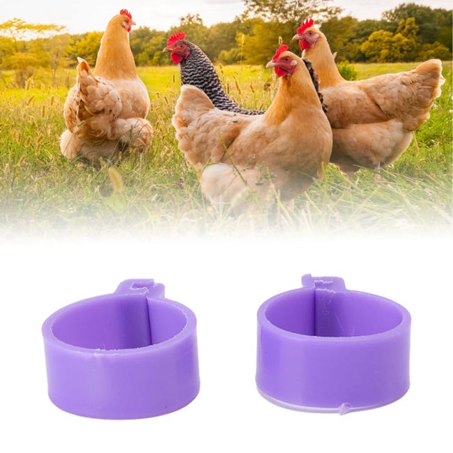 VIGAN 100 Pz Diametro Interno 2,0 Cm Anello Piede Di Pollo VIGAN 100 Pz Diametro Interno 2,0 Cm Anello Piede Di Pollo