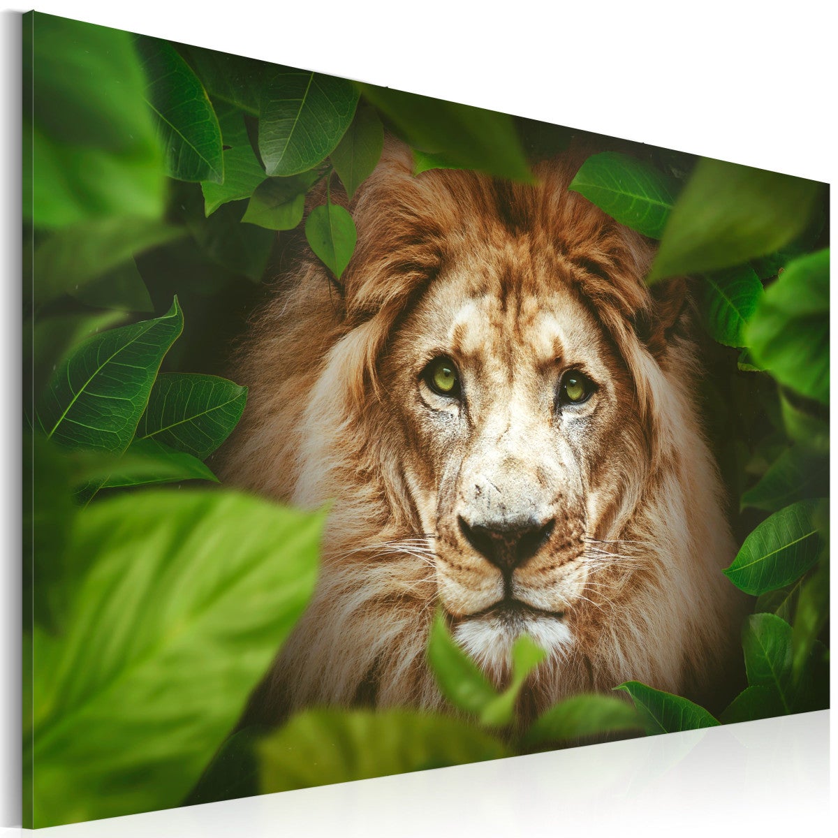 Tableau Imprimé "Eyes of the Jungle" 80 x 120 cm | Leroy Merlin