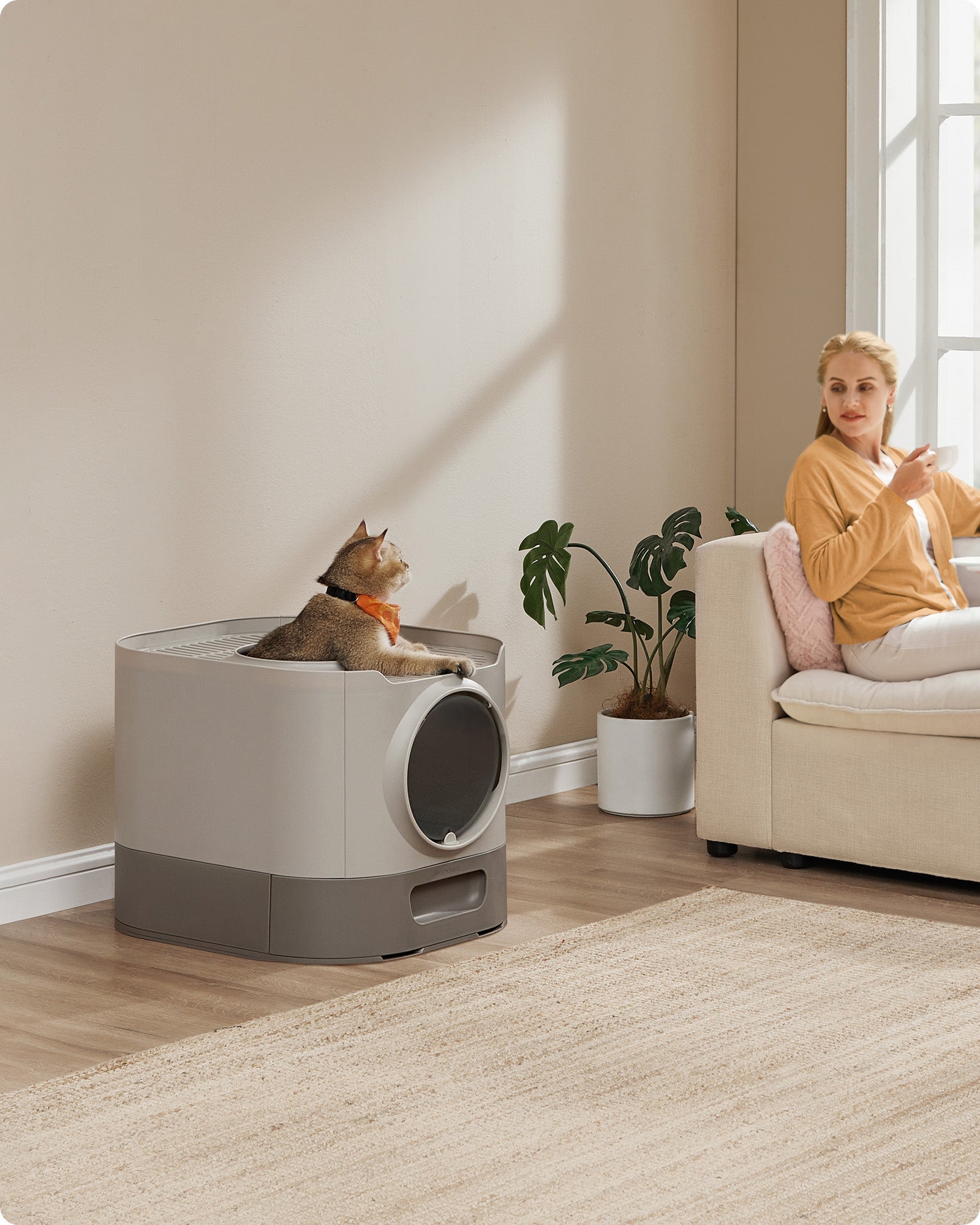 Lettiera XXL per gatti con coperchio vassoio rimovibile paletta spazzola spazio per gatti di grandi dimen 12_0004052 - 2