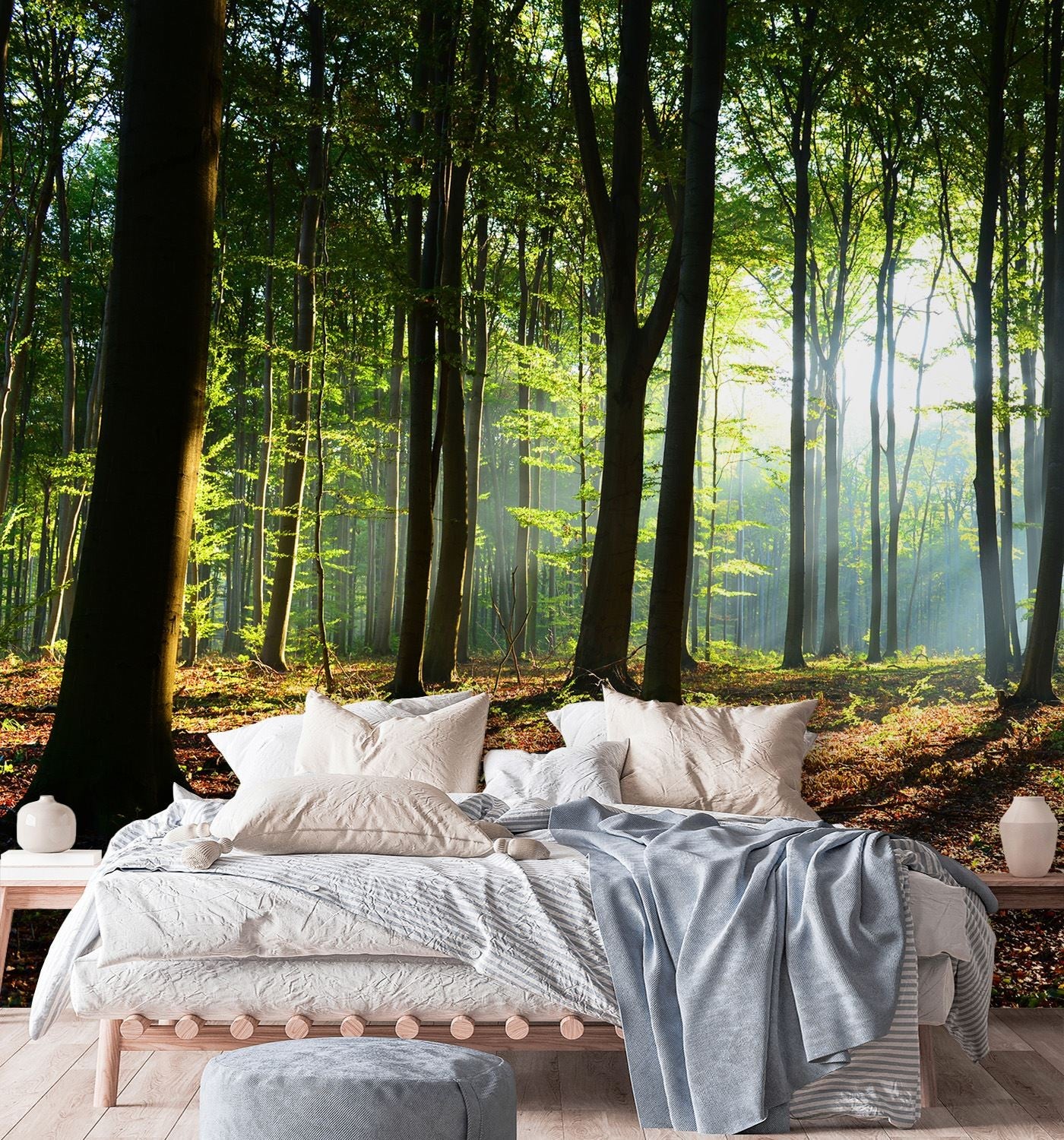 Papier peint mural, arbres forestiers rayons du soleil nature - 150x150 - 2