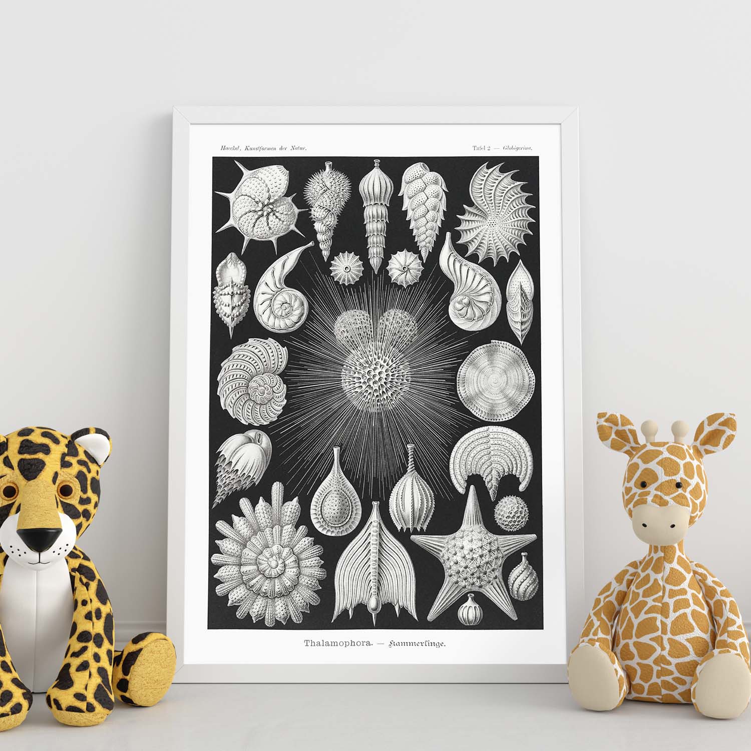 Supporto immagine senza cornice 21x29,7 cm (A4