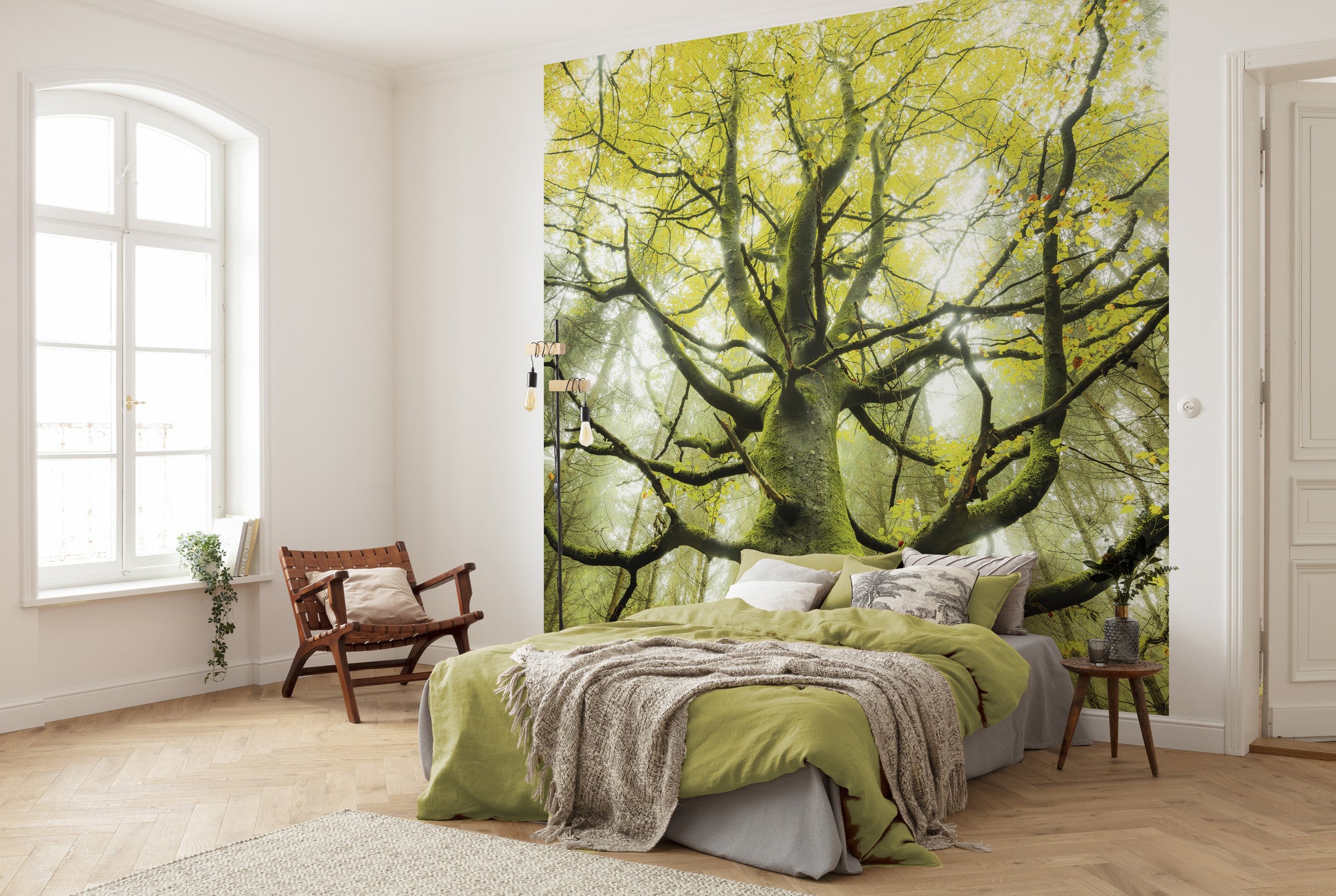 Fototapeta las zielonym - 300 x 280 cm - SANDERS &amp; SANDERS
