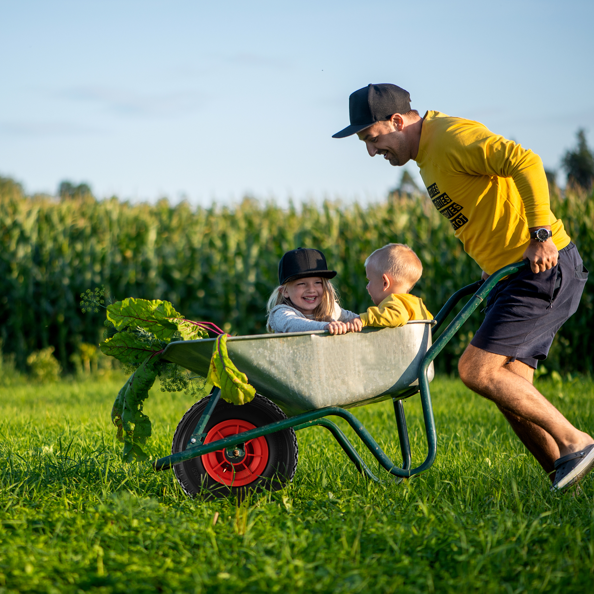 Wiltec Roue complète 3.00-4 pour Diable – 255 x 255 x 85 mm – Avec Chambre à air et Jante – Valve coudée TR87 – capacité de charge max. 90 kg – pou... - 8