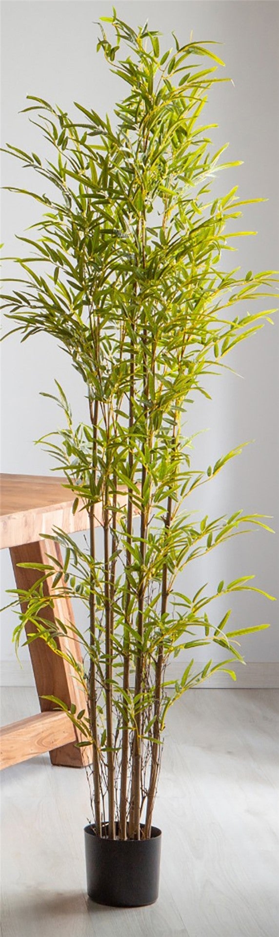 Plante de bambou verte et naturelle 35x35x200cm | Leroy Merlin