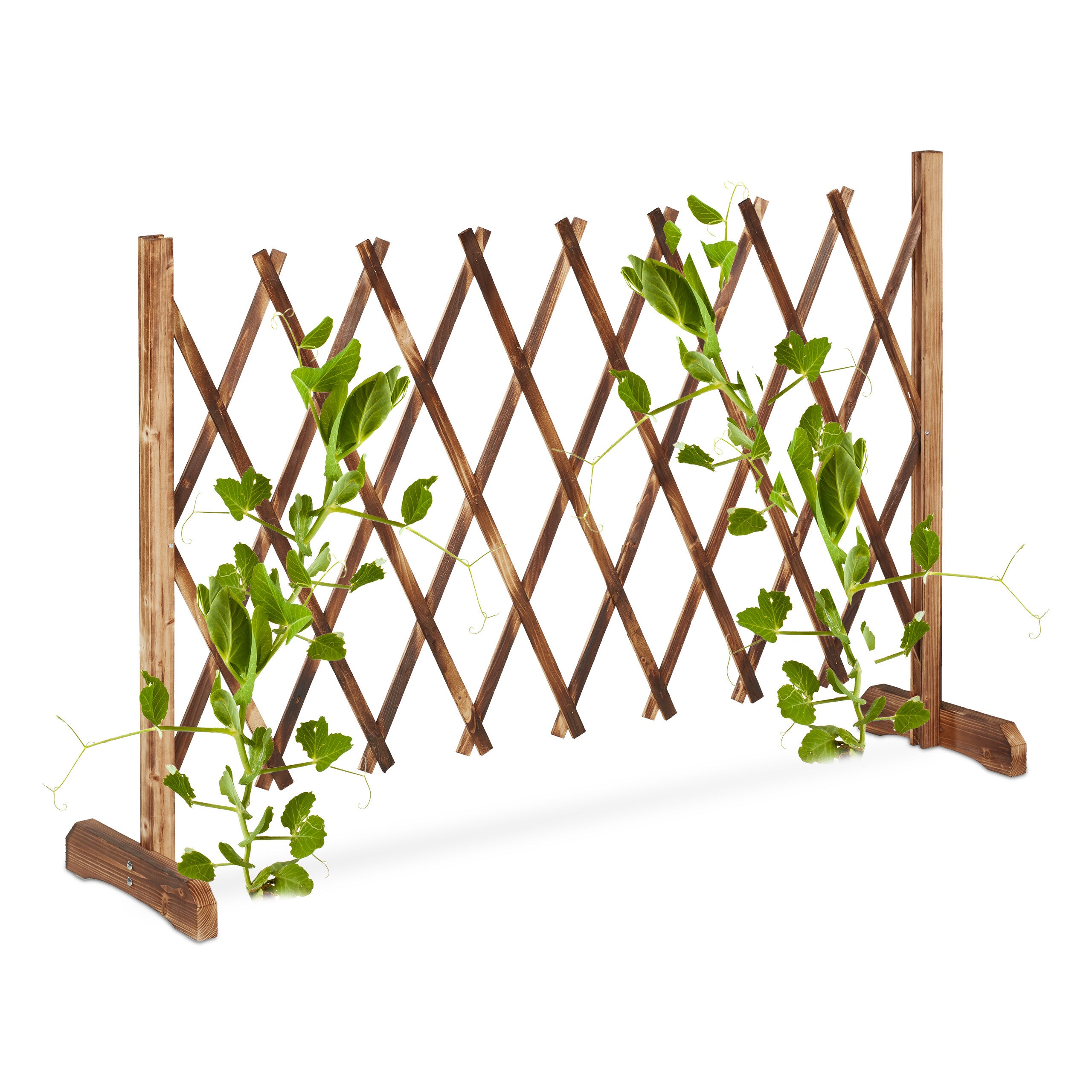 Tuteur à Tomates Relaxdays En Bois - Extensible Jusqu'à 185 Cm - Support Plantes Grimpantes