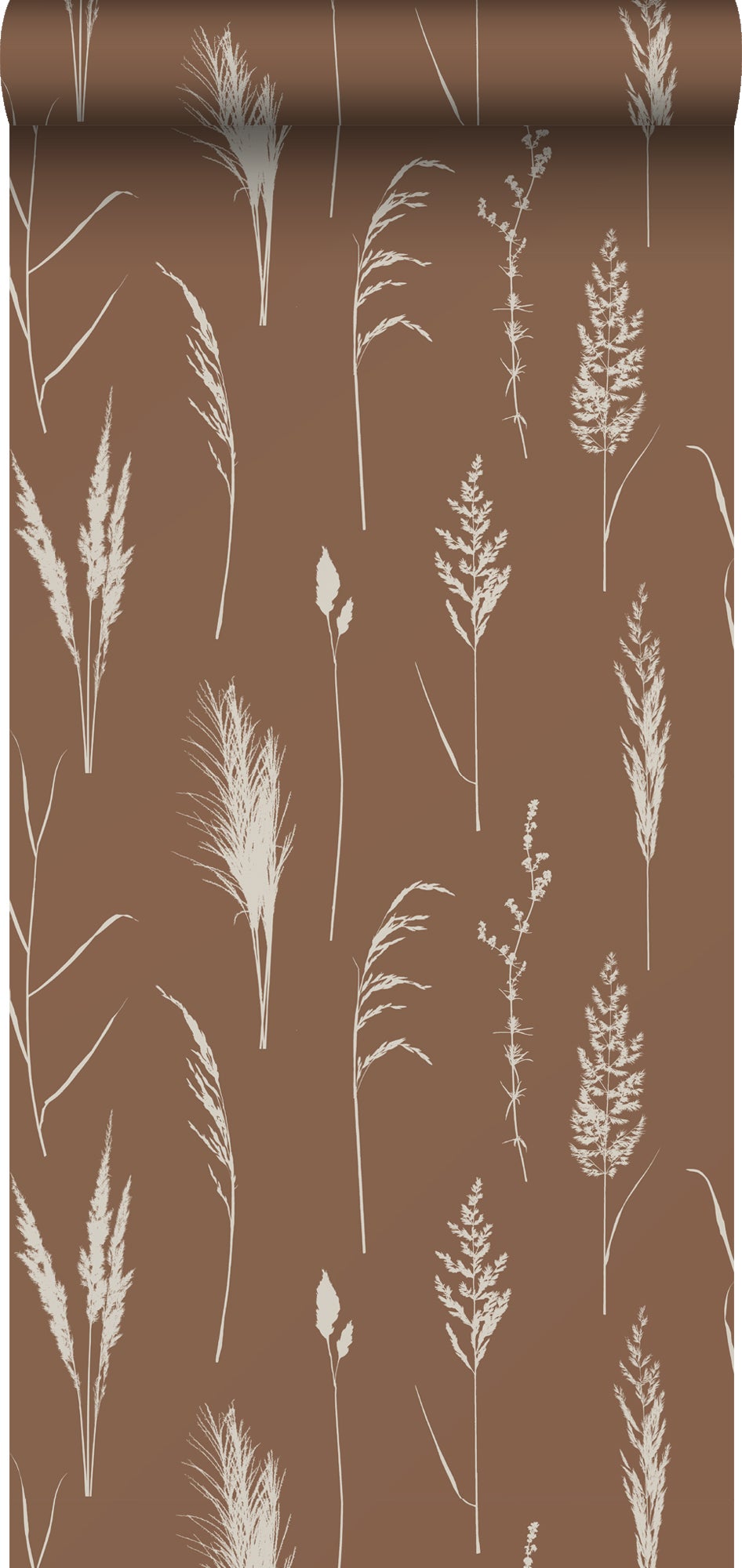 Papel pintado herbe de la pampa marrón herrumbre - 50 x 900 cm - estahome