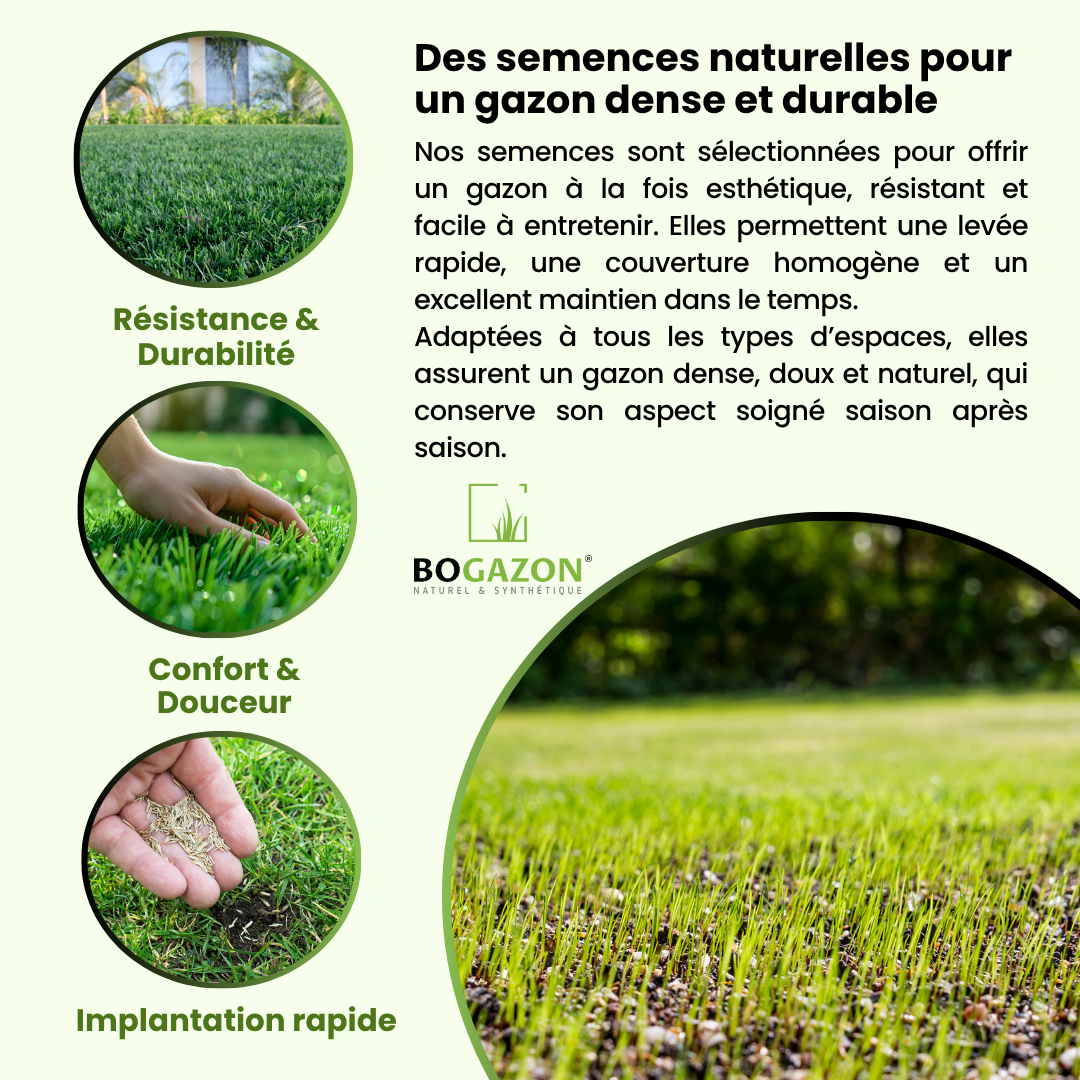 Gazon a semer ICL Pro Strong 10 kg| Graines de Gazon Rustique Résistant Sécheresse Racines Profondes | Semence Universel au Rendement Élevé - 3