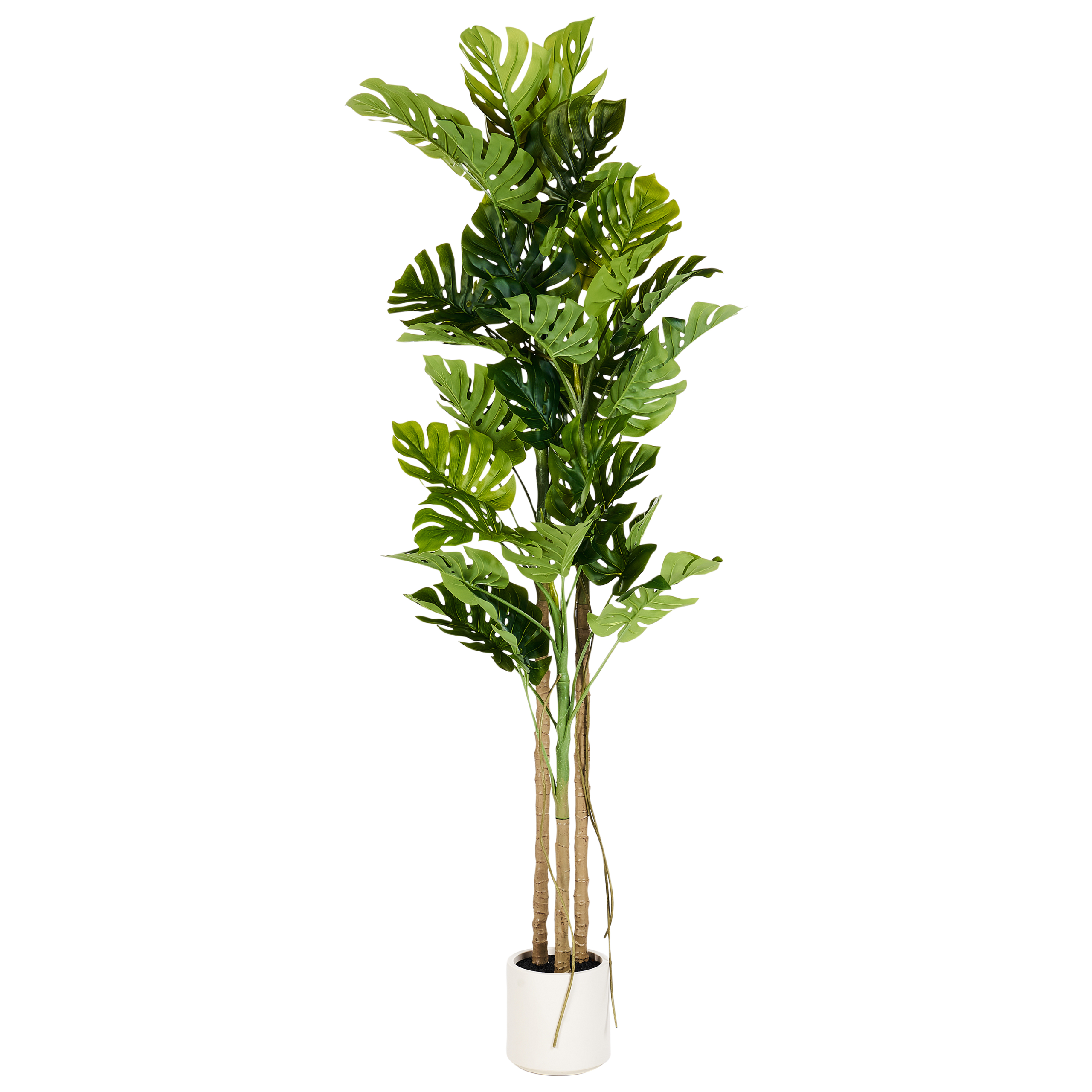 Plantă artificială MONSTERA PLANT 221 cm Verde