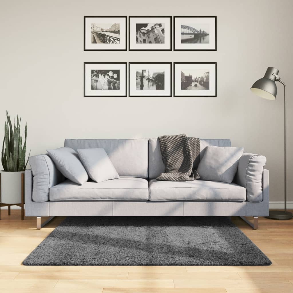 Dywan OVIEDO z krótkim włosiem, antracytowy, 120x120 cm vidaXL