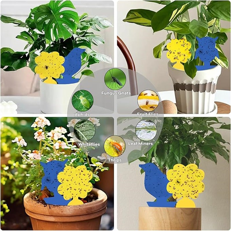 100 Trappole adesive per insetti, Trappole adesive bifacciali per bonsai, Adesivi bifacciali per insetti e mosche, (A forma di carota) - QWINERN - 5