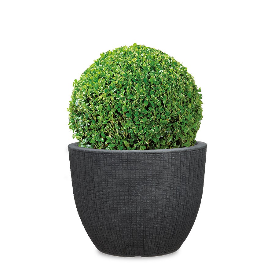 Scheurich Barceo 47, bac à plantes/pot à fleurs/jardinière, cylindrique, coloris: Stony Black, fabriqué avec du plastique recyclé, pour l’extérieur - 4