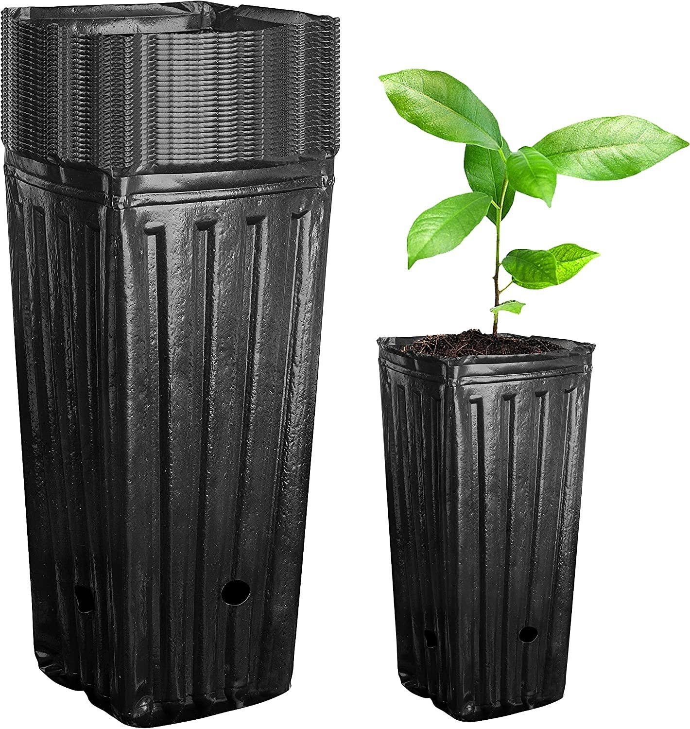 20 sztuk Duże Donice Drzew, Donice do Drzew Szkółkarskie Głębokie Plastikowe, 7,8 Cala Wysokie Donice Pojemniki na Rośliny Kwiaty Sadzonki