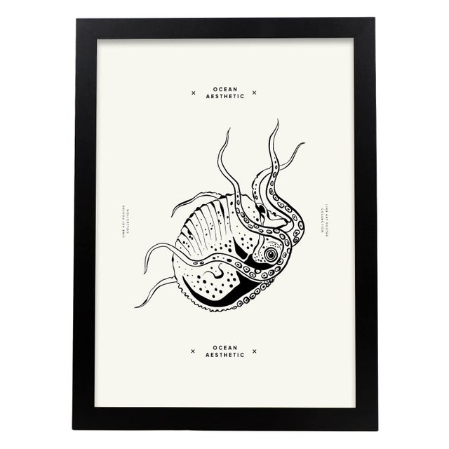 Nacnic Affiche Avec Des Plantes Marines Et Des Animaux Une Pieuvre Sans But Illustrations Artistiques Pour La Décoration Intérieure A4 Sans Cadre