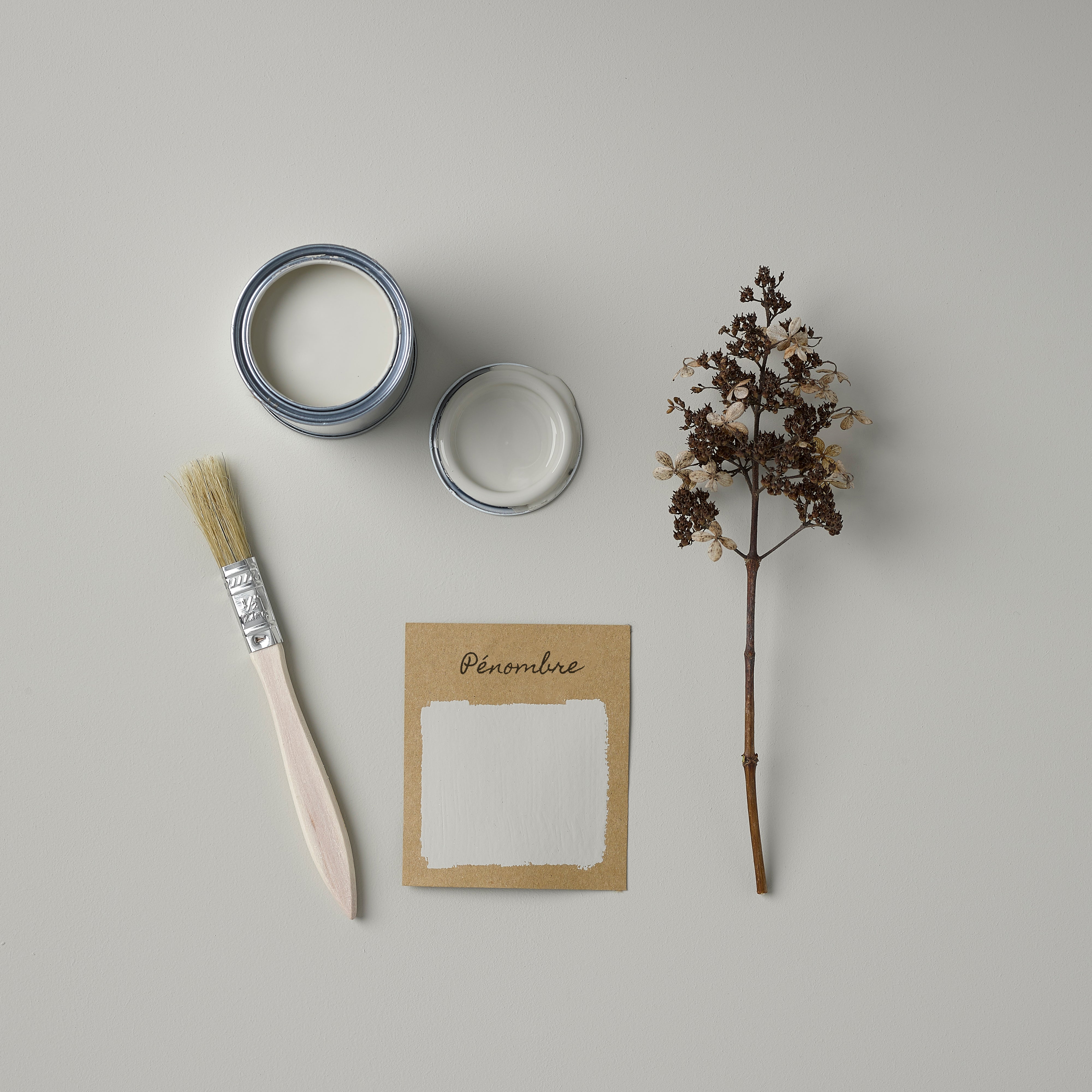 Peinture Beige pour Meubles Chalky Mat Poudré RUST-OLEUM - Pénombre 750ml (10,5m² avec un pot) - 4