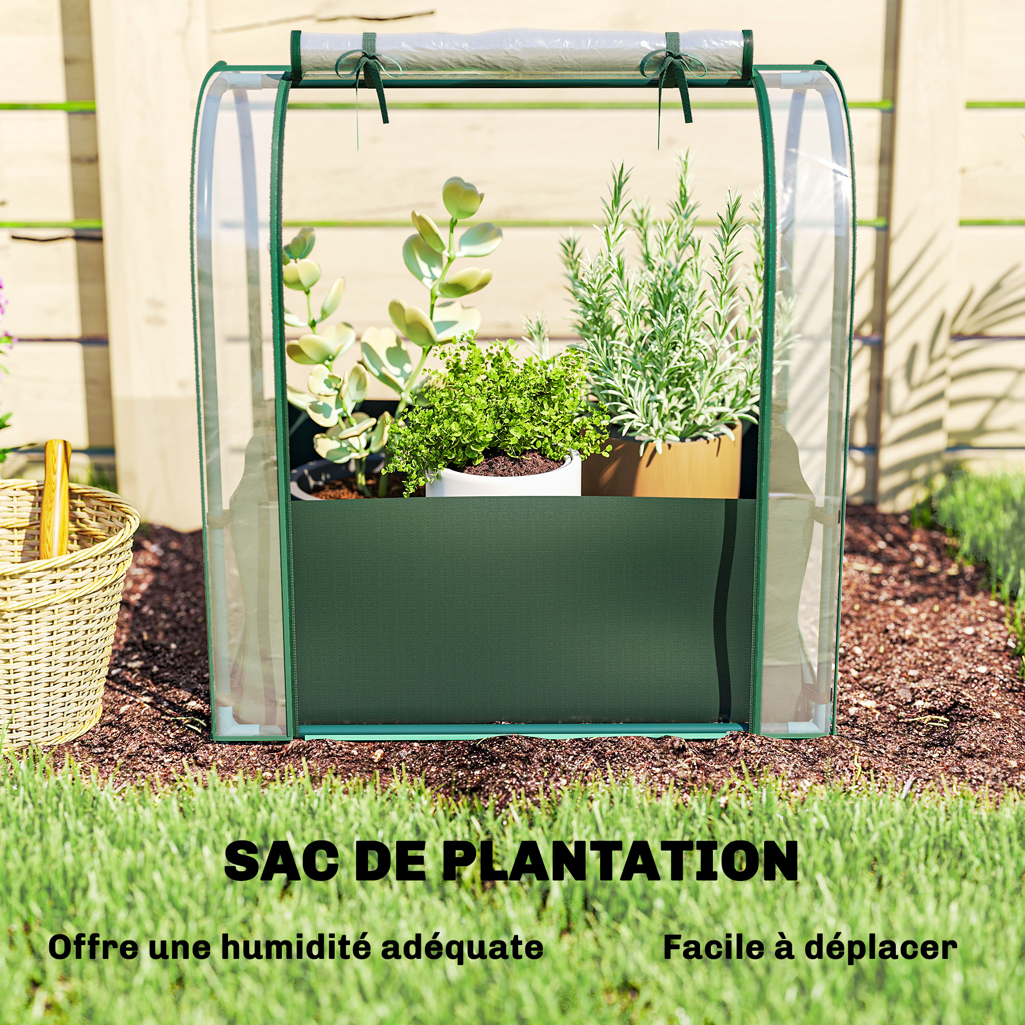 Serre de jardin acier Outsunny - 4