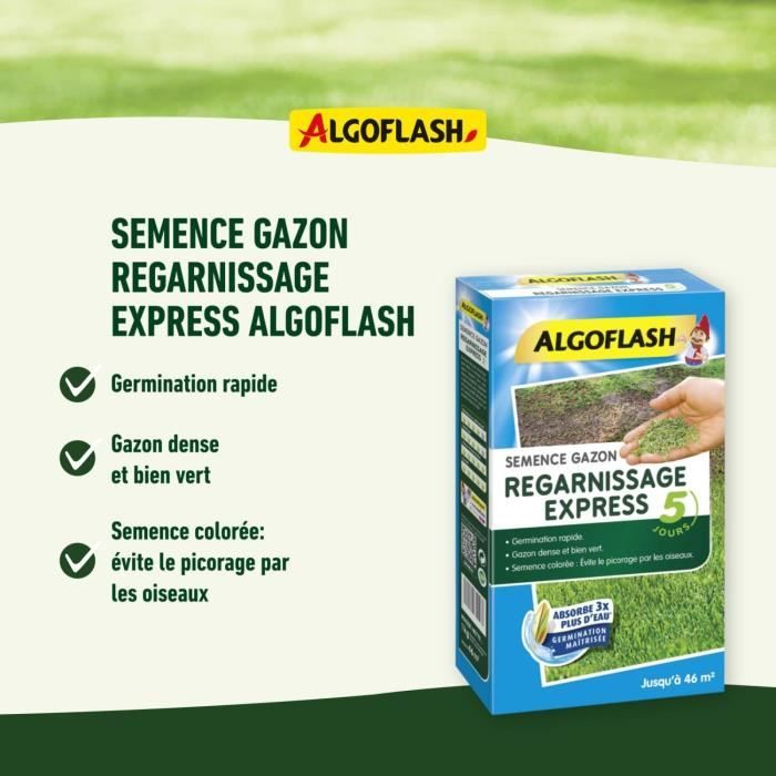Semences Gazon Regarnissage Express 5 jours 3 kg - 2