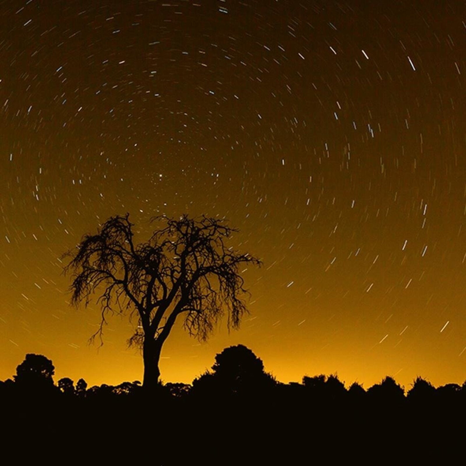 Tableau lumière des étoiles 3 - 60 x 40 cm - 4