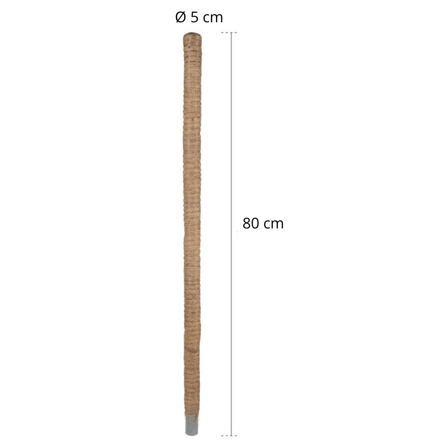Bastone Muschiato Verdelook 80 cm in Fibra di Cocco Supporto per Piante in Vaso - 2