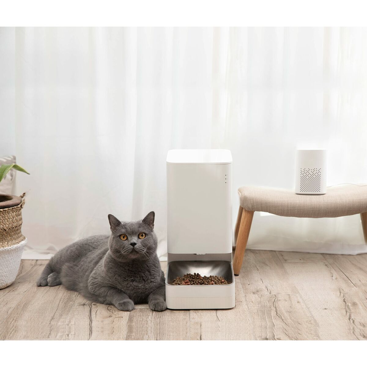 Comedero de mascotas Inteligente Xiaomi Smart Pet Food Feeder/ Control desde APP - 6