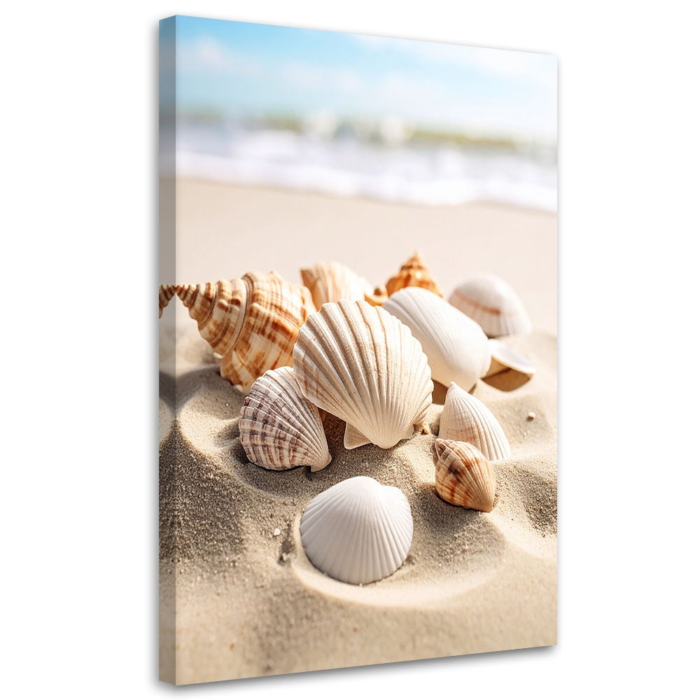 Obraz do salonu kuchni biura, Muszle plaża natura beżowy 40x60