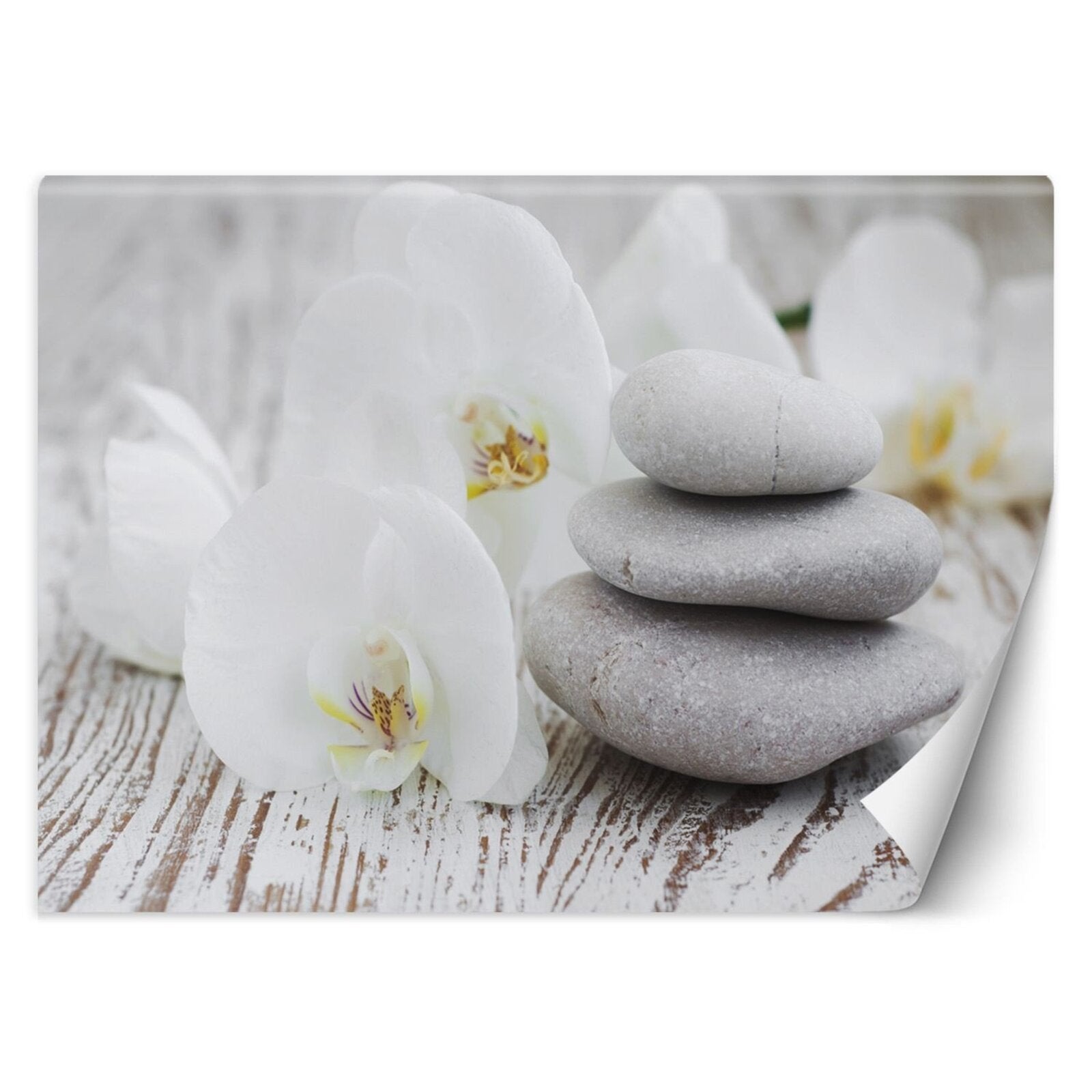 Papier peint fleurs & pierres zen - 250 x 175 cm | Leroy Merlin
