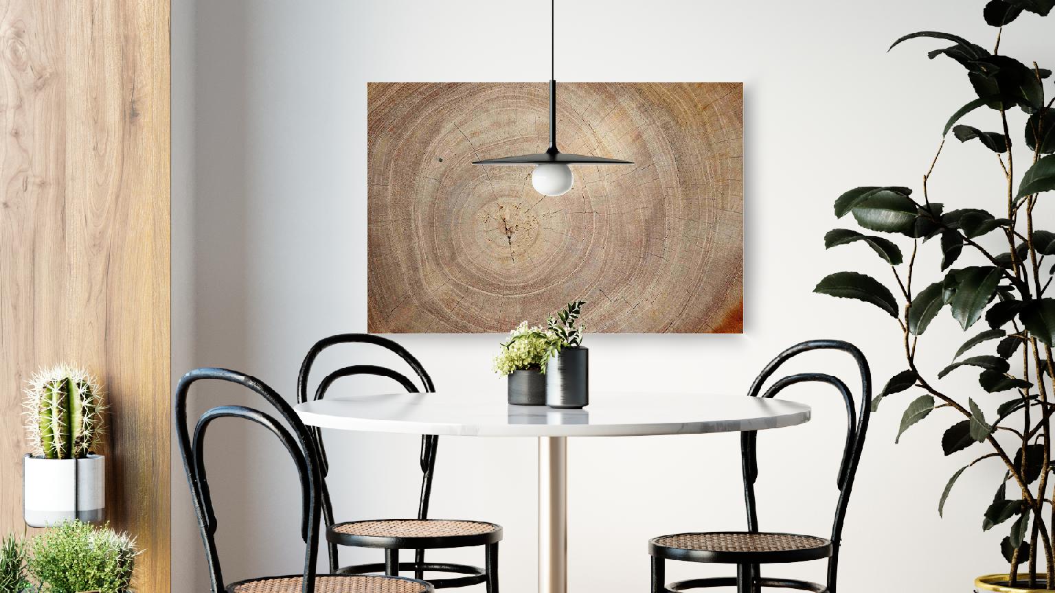 Tableau Magnétique en Métal Motif Tronc Cernes de Bois 90x60cm, MetalBoards pour tout type d'Aimants - 3