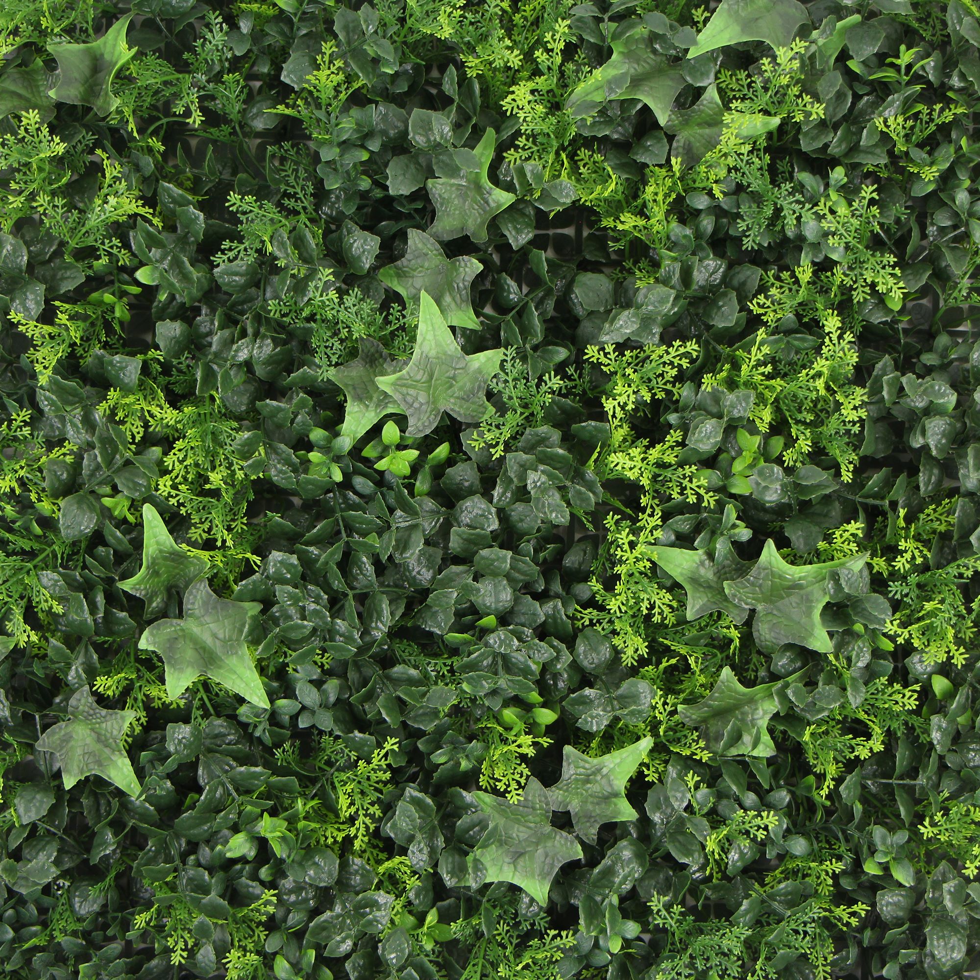 Antigua | FOLY - 50 x 50 cm - Parete verde verticale artificiale per interni e esteri - Imitazione edera - Garanzi UV 5 anni - JIVANA - 3