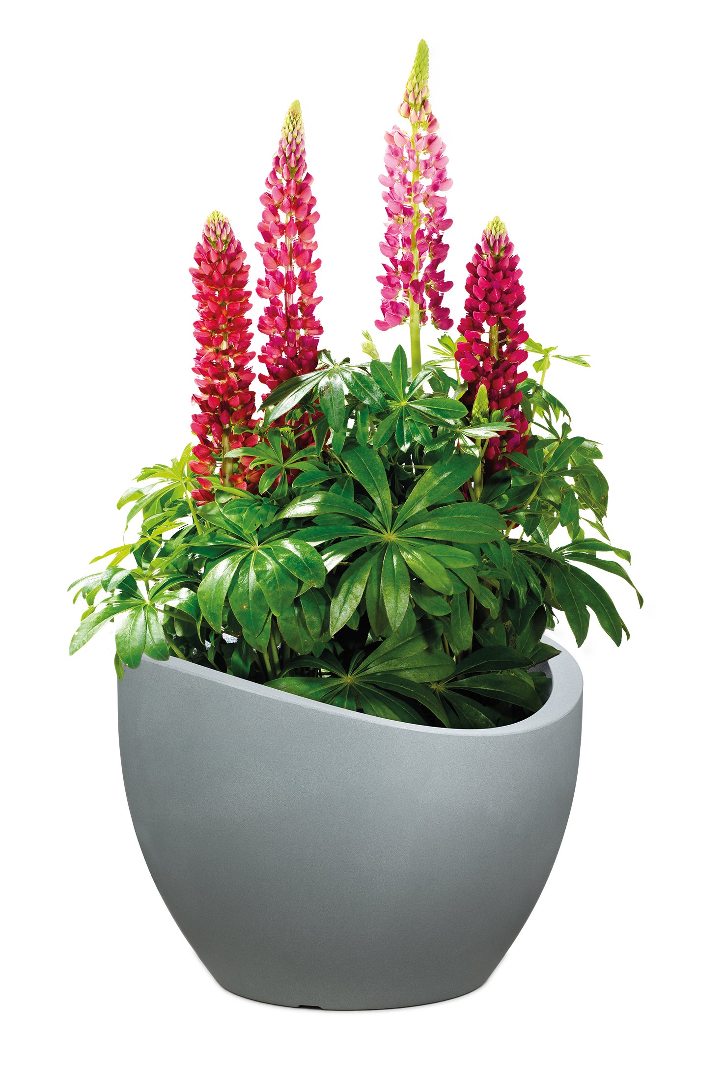 Scheurich Wave Globe 60, bac à plantes/pot à fleurs/jardinière, cylindrique, coloris: Stony Grey, fabriqué avec du plastique recyclé, pour l’extérieur - 3