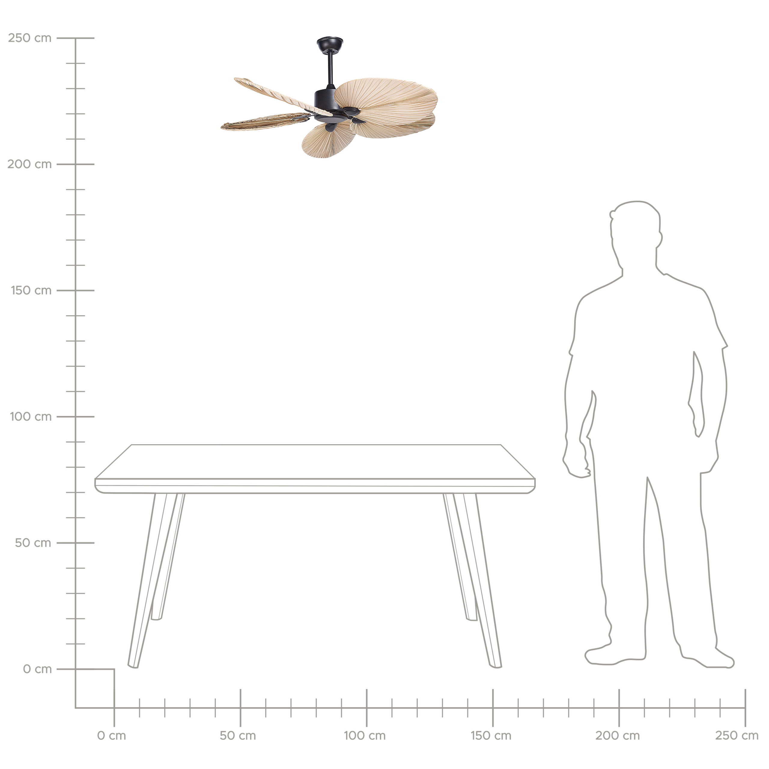 Ventilateur de plafond MAMMOTH Marron - 7