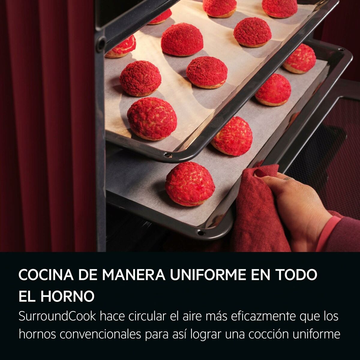Horno AEG con AquaClean OU5AB21FSM - 4