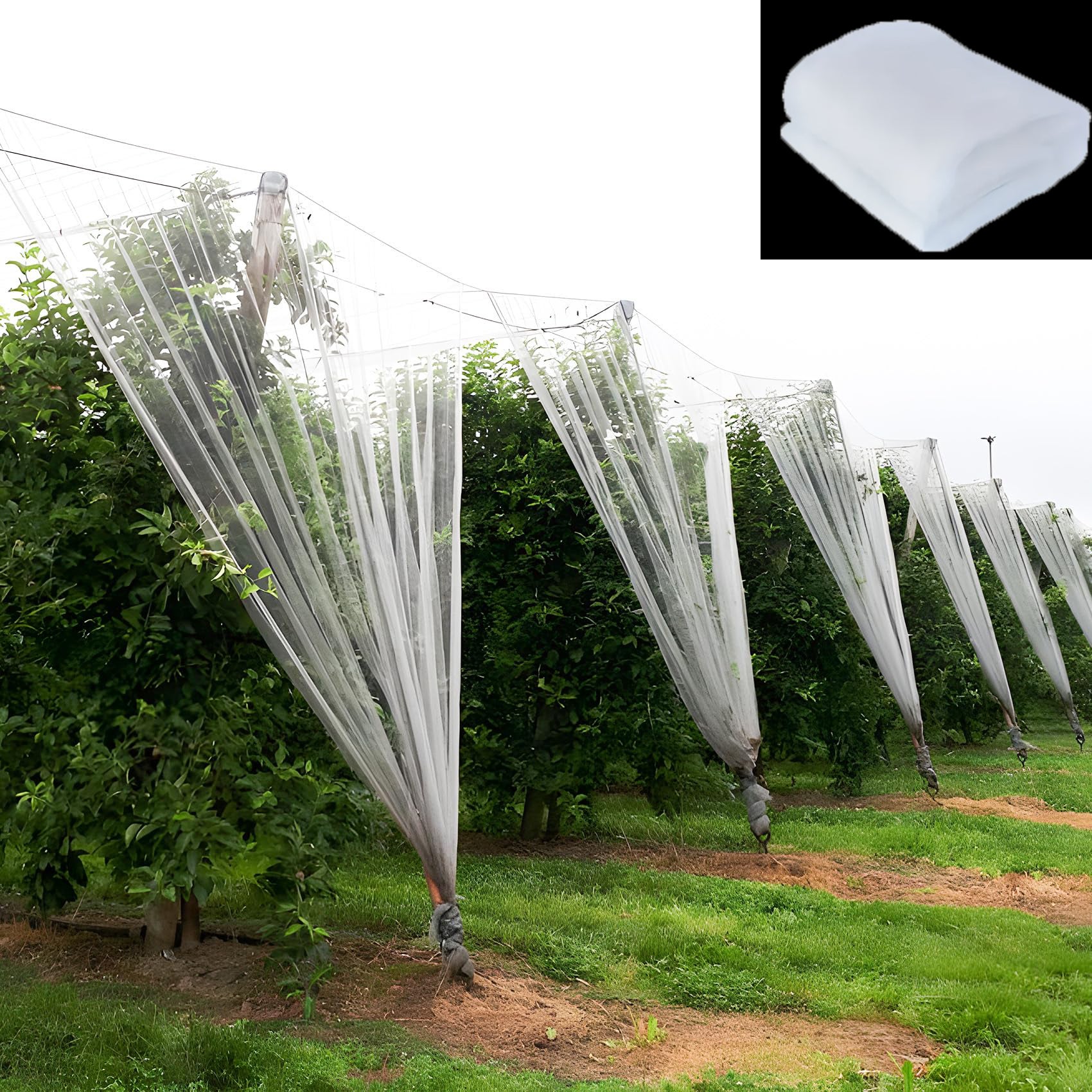 Aoipend Filet de jardin en maille fine pour protection, 2,4 x 10 m, filet de protection pour légumes, fruits, plantes, fleurs, filet de couverture pour serre, écran de terrasse et tonnelle