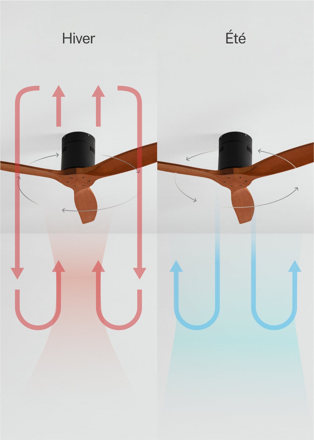 CREATE- WIND CALM M - Ventilador de teto silencioso de 40 W com pás técnicas em ABS Ø132cm - sem luz - com wifi - 5