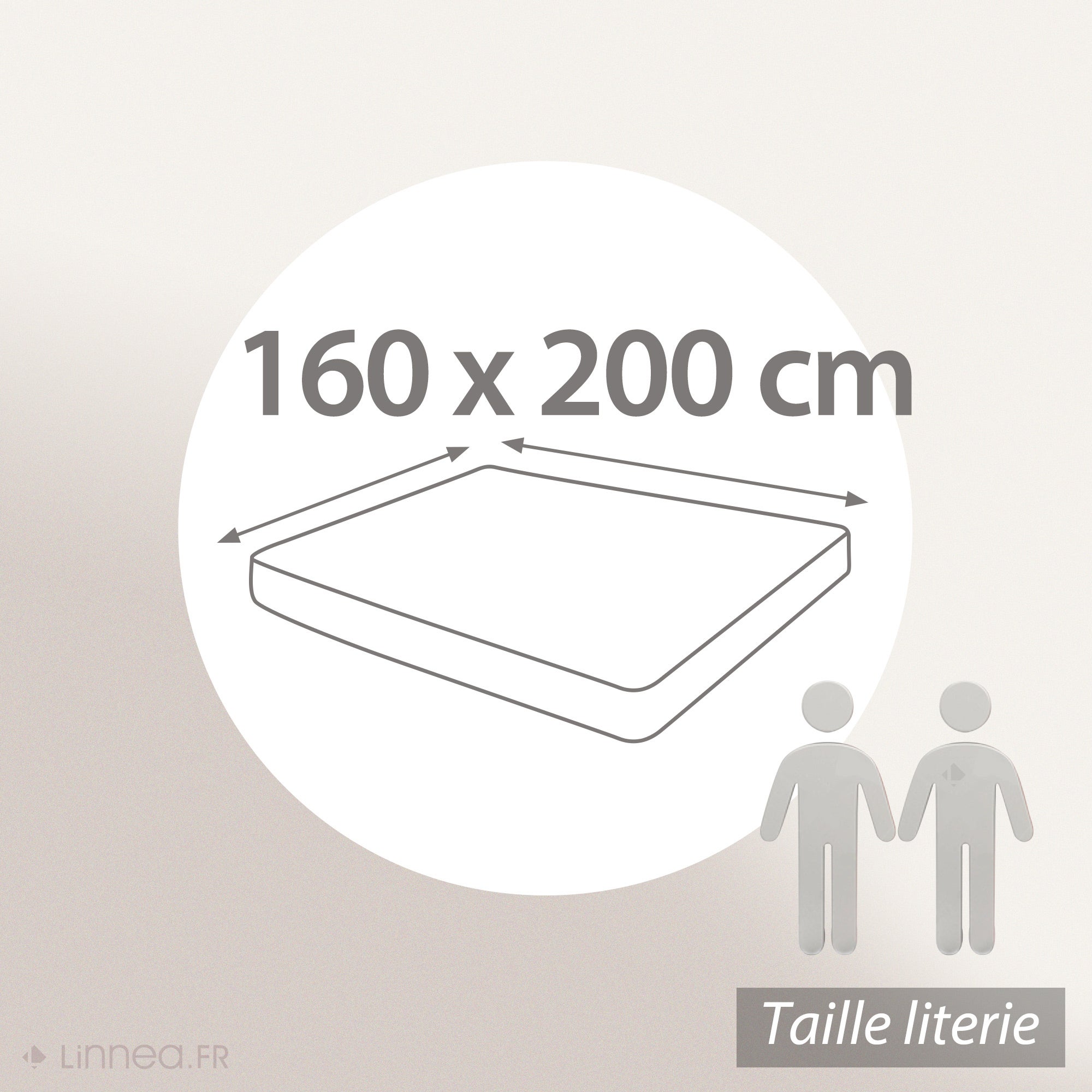 Drap housse uni 160x200 cm bonnet 30 cm coton ALTO Chamois - 5