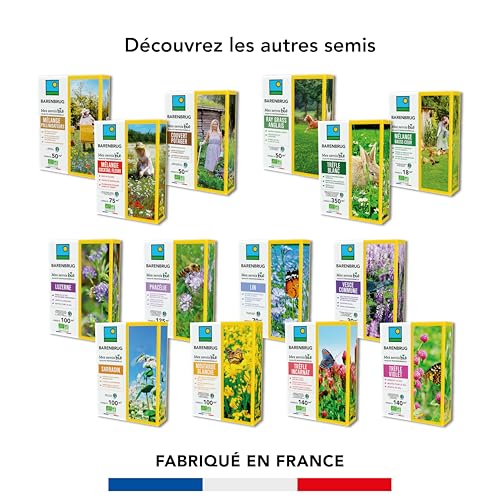 BARENBRUG - Mélange Pollinisateurs - Nectar et Pollen en Abondance - Attire Papillons et Insectes Pollinisateurs - Floraison Printemps/Été - 250G - 5