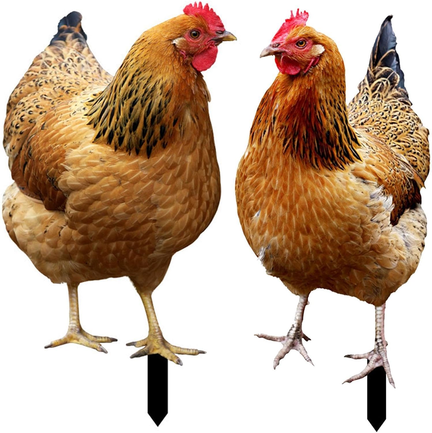 Décoration Jardin Poule En Acrylique - Statue Coq Avec Piquet, Idéal Ferme Et Extérieur (A+B)
